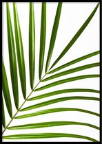 Poster Palm Blad- 30x40cm met Fotolijst – Natuur Poster – Ingelijst