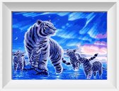 Artstudioclub™  schilderen op nummer volwassenen 40x50cm volwassenen Witte tijgers