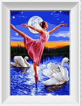 Artstudioclub™  schilderen op nummer volwassenen 40x50cm volwassenen ballerina en 2 zwanen