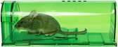 diervriendelijke muizen/rattenval- ongedierte bestrijding- rattenplaag- val maken- muizenklem- muizenplaag- levende val zetten/maken- humane muizenval