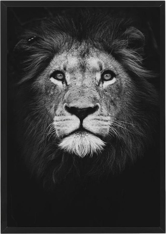 Canvas poster leeuw 30x40 cm | Poster in kunststof zwarte lijst |  Afrikaanse dieren... | bol.com