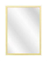 Spiegel met Luxe Aluminium Lijst - Mat Champagne - 40x60 cm