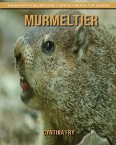 Murmeltier