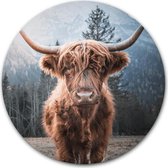 Ronde muursticker Schotse hooglander - WallCatcher | 30 cm behangsticker wandcirkel Highlander