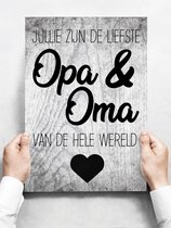Wandbord: Jullie Zijn De Liefste Opa & Oma Van De Hele Wereld! - 30 x 42 cm