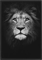 Canvas poster leeuw 50x70 cm | Afrikaanse dieren poster portret