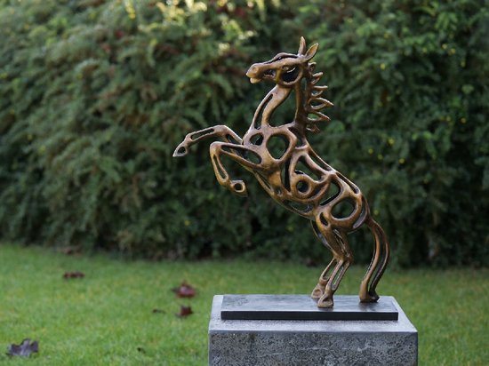 Foto: Tuinbeeld draadsculptuur paard bronzartes 56 cm hoog