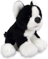 Pluche Hond Boston Terrier 10cm