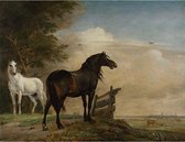 Canvas Schilderij Twee Paarden