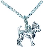 Chihuahua korthaar Pup (mini) Hanger -merk COOLDOG™ in massief Zilver inclusief ketting