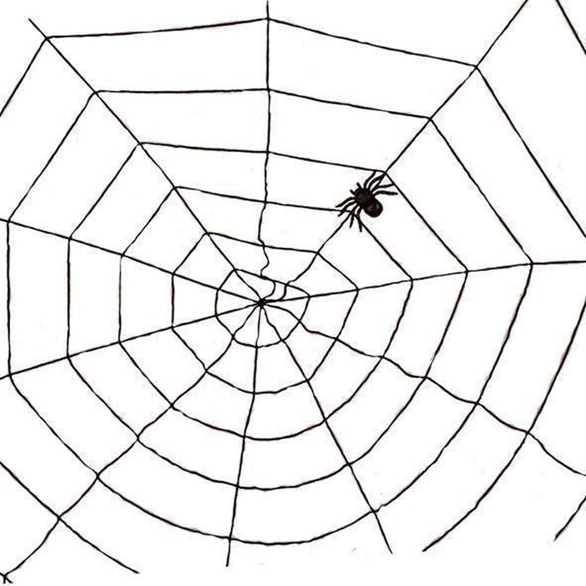 Spinnenweb Koord + 1 Spin | Zwart