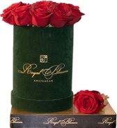 Flowerbox Red Naomi Rozen van Royal Blossom / Le Rouge Green Velvet