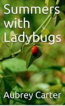 Summers with Ladybugs