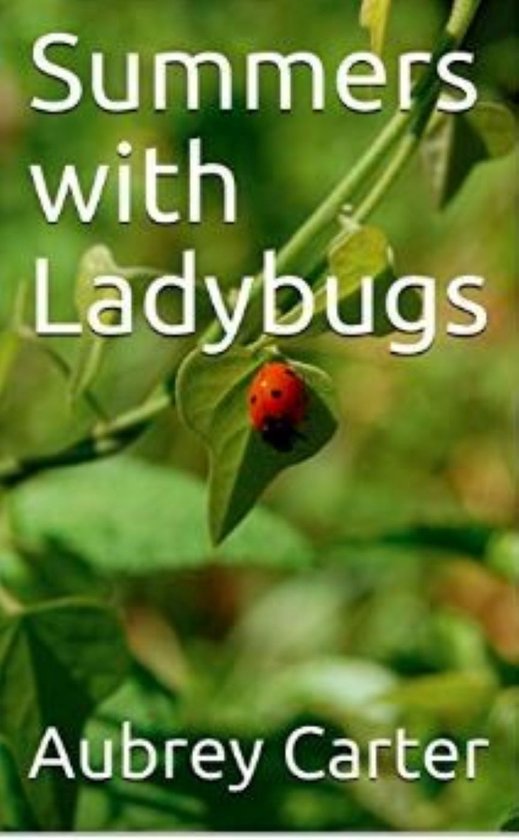Summers with Ladybugs - cover