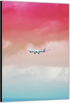 Dibond –Vliegtuig in Roze Lucht– 60x90cm Foto op Aluminium (Met Ophangsysteem)