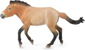 Collecta Paarden (XL): PRZEWALSKI HENGST 16.5x9cm