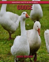 Goose