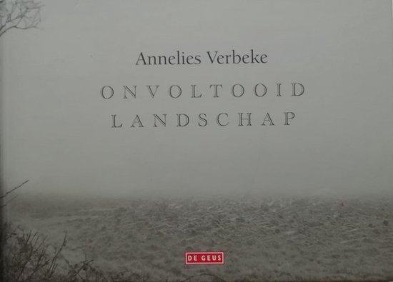 Onvoltooid Landschap