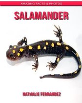 Salamander