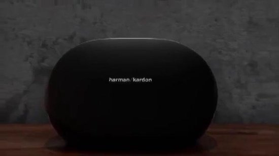 Enceinte Harman Kardon OMNI 10 / S – Sans Fil – Pour Pièces – Allume Mais HS