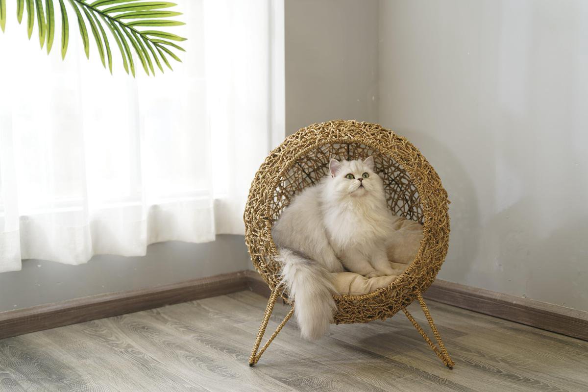 e-wicker24 Alles aus Weide Rieten mand, katten- of