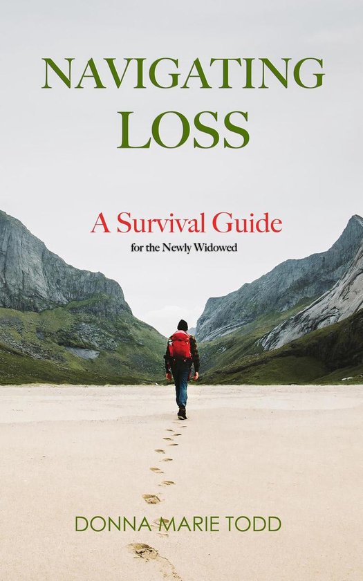 Navigating Loss - cover