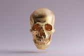 ? Skulls • Gold Skull Jaw Bone Light Canvas 150x100 cm • Foto print op Canvas schilderij ( Wanddecoratie woonkamer / slaapkamer / keuken / kantoor / bar / restaurant ) / Skulls / S