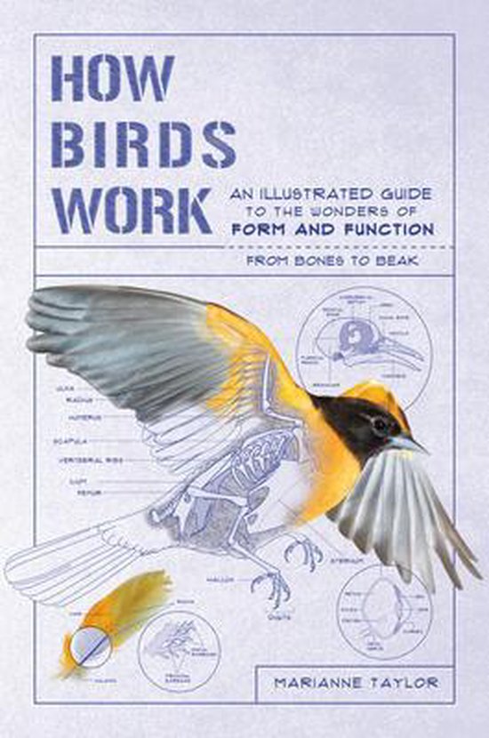 How Birds Work, Marianne Taylor 9781615196470 Boeken