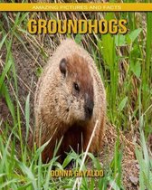 Groundhogs