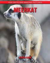 Meerkat