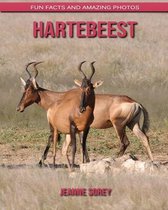 Hartebeest