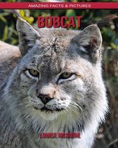 Bobcat