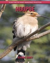 Hoopoe