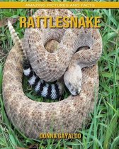 Rattlesnake