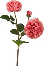 Viv! Home Luxuries Wilde Engelse roos - zijden bloem - roze - topkwaliteit