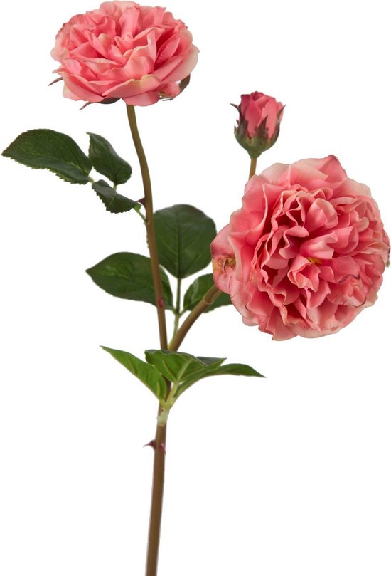Viv! Home Luxuries Rose anglaise sauvage - fleur en soie - rose - qualité supérieure