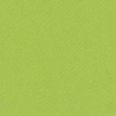 Agora Lisos Anis 3936 groen  stof per meter, buitenstof, tuinkussens, palletkussens
