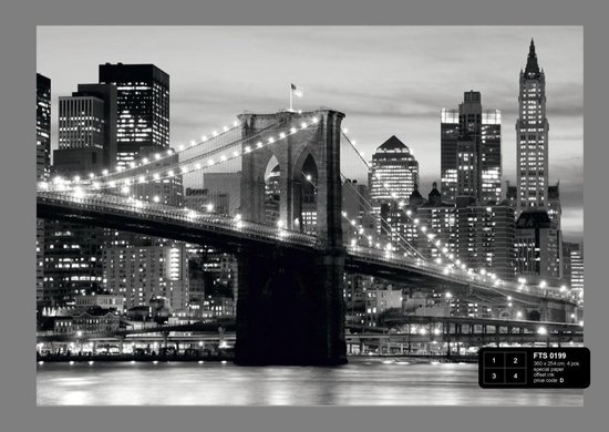 duizend spreken Slank Dutch Wallcoverings Fotobehang Brooklyn Bridge B&W, 4-d | bol.com