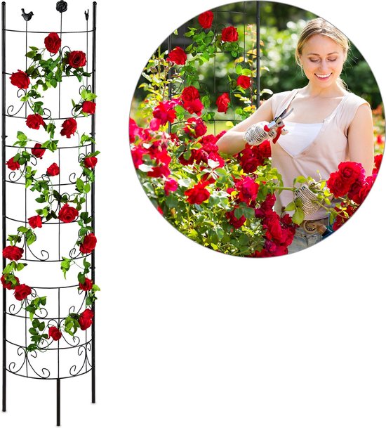 Relaxdays plantenklimrek - metaal - plantensteun - klimplantenrek -  plantenrek - 180 cm | bol.com