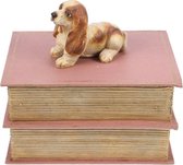 Basset hond op boek roze - opbergdoos - decoratieve doos