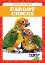 Rain Forest Babies- Parrot Chicks