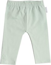 Frogs and Dogs | Leggings Uni | Groen | Maat 50