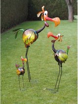 Tuinbeeld - Grappige vogel klein - 55  cm hoog
