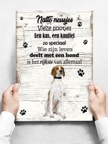 Wandbord hond: Pointer - 30 x 42 cm