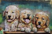 3D art Metaalschilderij honden puppy's - wanddecoratie - 120 x 80 - woonkamer slaapkamer