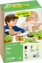 Sembra Kids - Doperwt Mini Kit