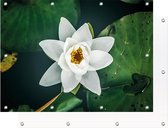 Tuinposter - Witte Bloem - 140 x 90 cm | PosterGuru