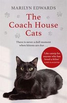 The Coach House Cats Cats of Moon Cottage 4