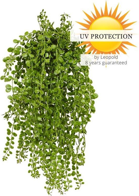 Dischidia nummularia kunsthangplantje 40cm uv