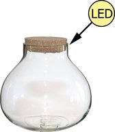 Vaas met LED verlichting - Glazen Vaaslamp - Incl. Batterijen - Ø20,5 x H20